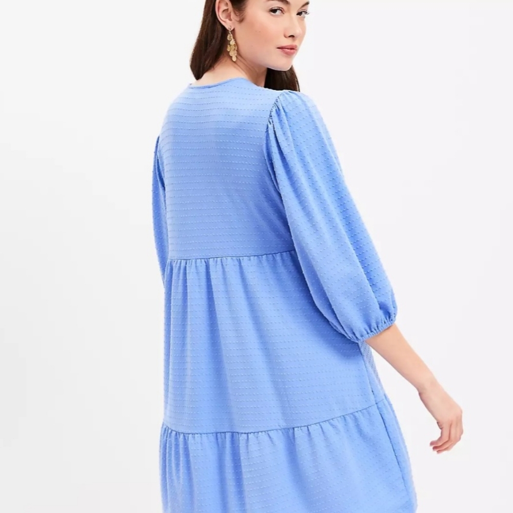 Loft dress NWT